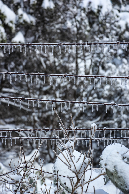 Wire and Ice by artist Mike Shay